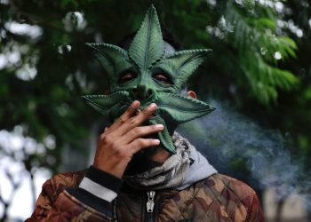 Mexico's Supreme Court reaffirms unconstitutionality of marijuana ban, expands access