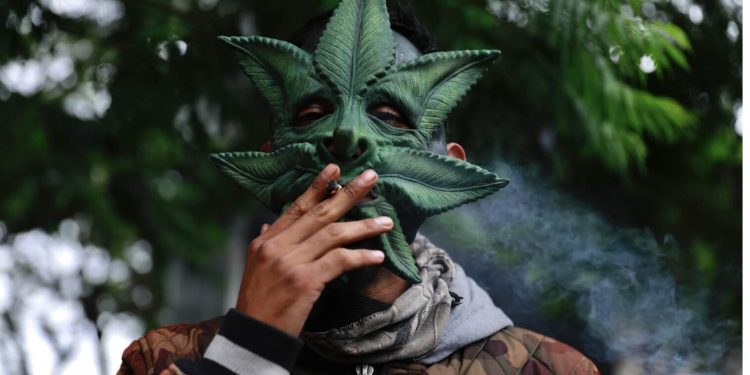 Mexico's Supreme Court reaffirms unconstitutionality of marijuana ban, expands access